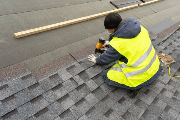 Best Roof Maintenance Services  in Goodrich, MI