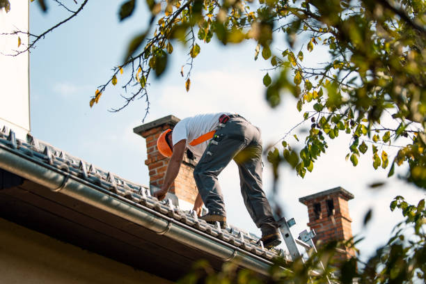 Best Affordable Roof Replacement  in Goodrich, MI
