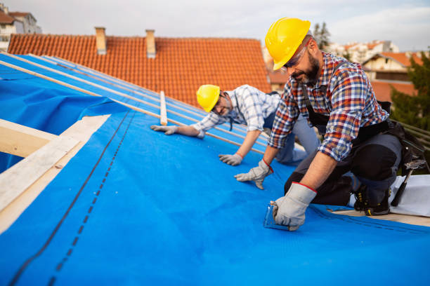 Best Roof Inspection Near Me  in Goodrich, MI