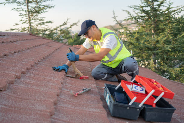 Best Local Roofing Companies  in Goodrich, MI