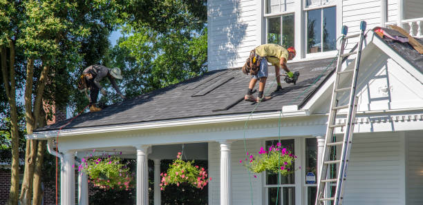 Best Roof Repair Services  in Goodrich, MI