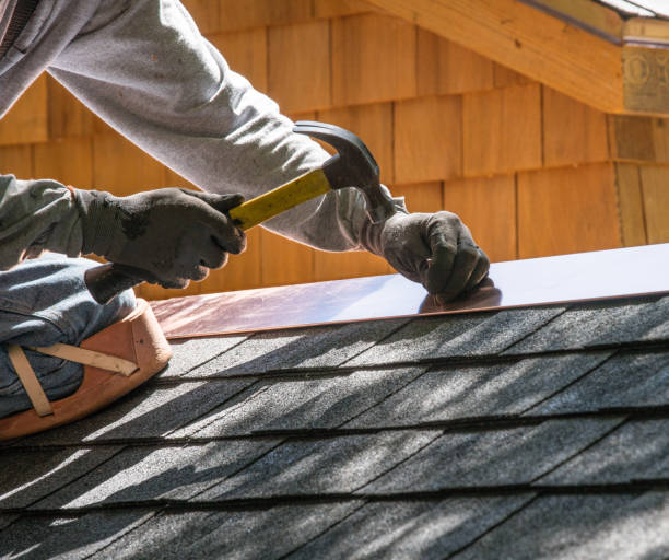 Best Roof Gutter Cleaning  in Goodrich, MI